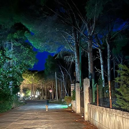 Rooms For Rent Habipi Vlore Luaran gambar