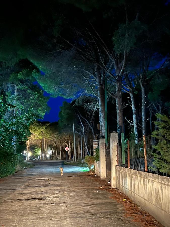 Rooms For Rent Habipi Vlore Luaran gambar